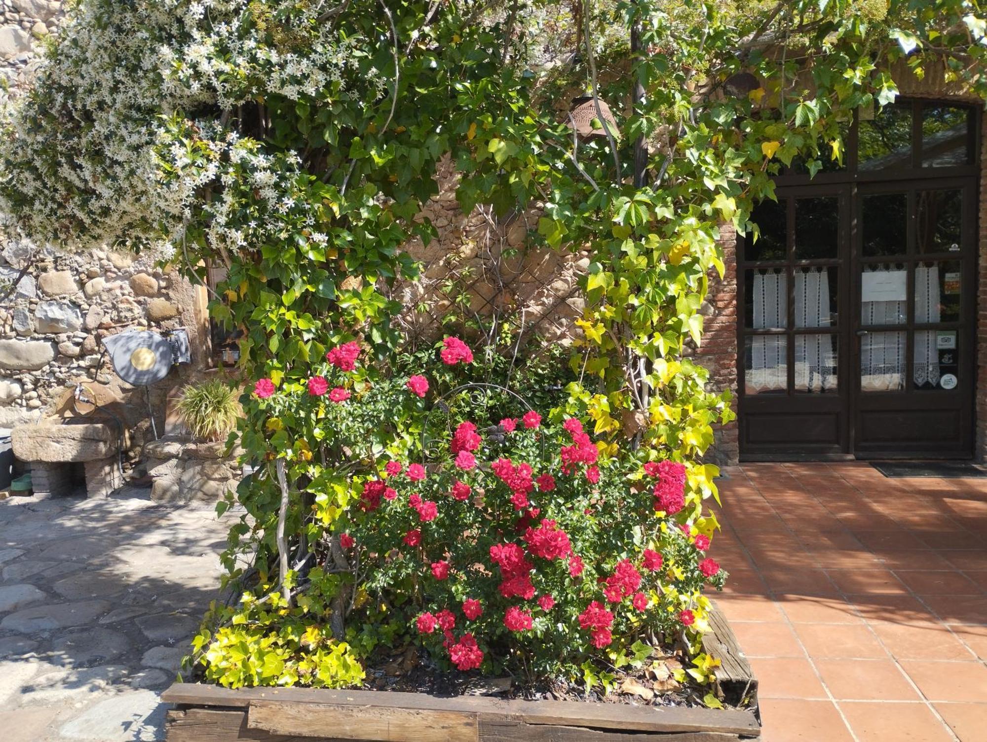 Casa Rural Can Jepet La Cellera de Ter Exterior photo